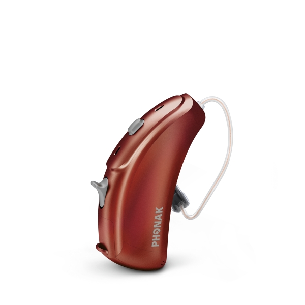 Hearing Aid Accessory