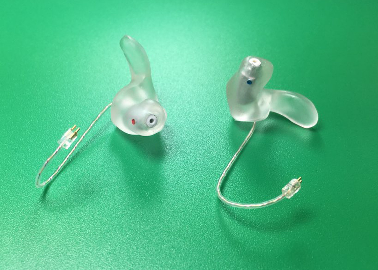 Custom RIC Ear Mould Fitting Service in Dhaka – Micro Hearing 🦻